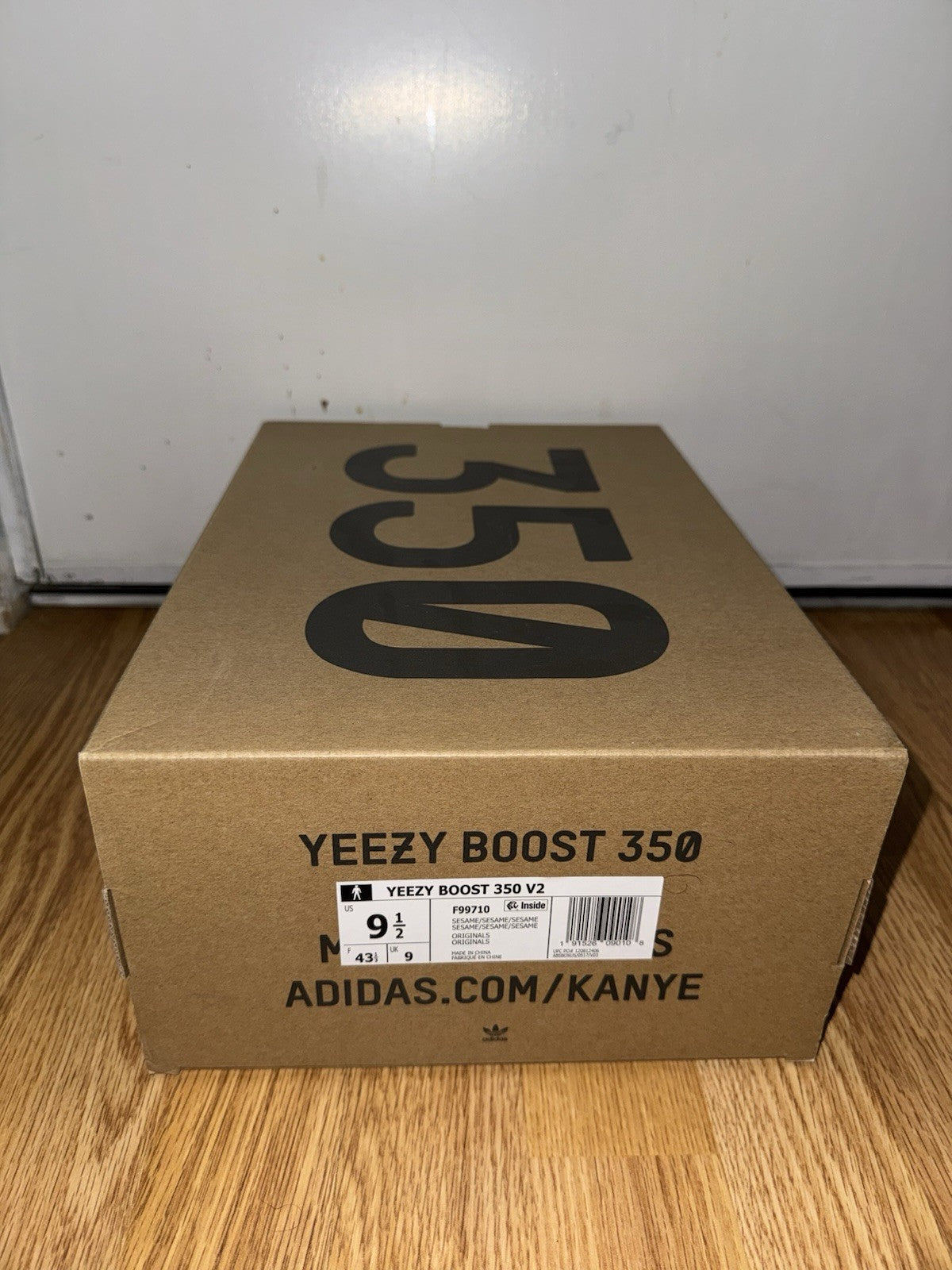 Image #8